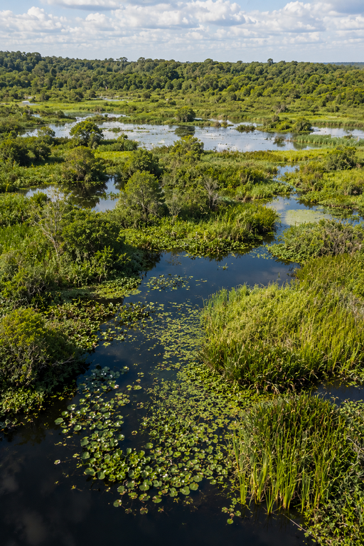 Biodiversity & Habitat Intelligence image